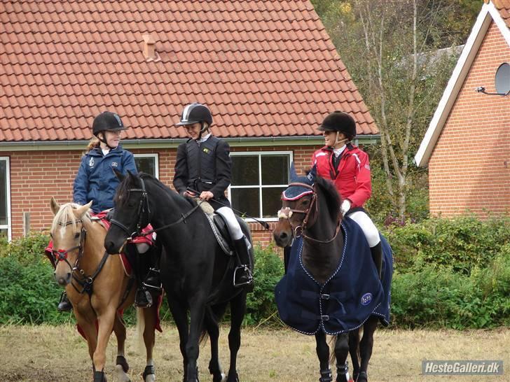 Anden særlig race Grafit (Solgt)  - Laura, mig og Michelle billede 11