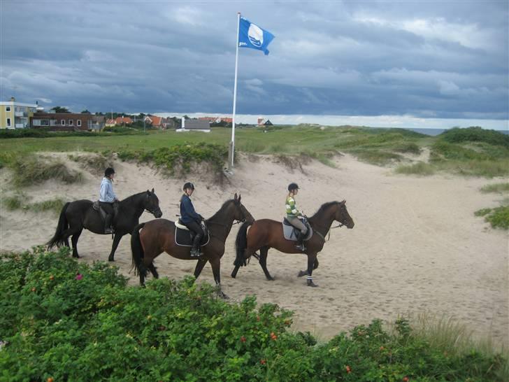 Oldenborg Grandessa (død) - Vi er på stranden billede 5