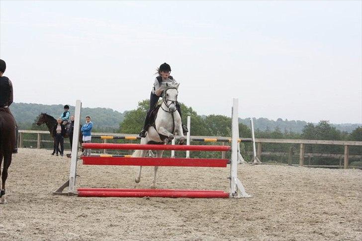 Welsh Pony (sec B) Bjerregårds Santos - springer ude for første gang i år på hjemmebane. MA* bane, fejlfri. no problem<3 jeg elsker dig santos<3 billede 6