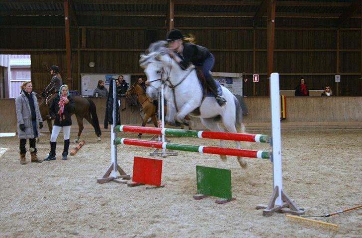 Welsh Pony (sec B) Bjerregårds Santos - bane på 105cm.. no problem(-;  billede 8