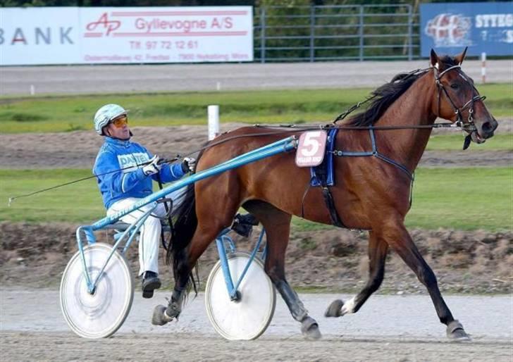 Traver Kaja Hedegården - modtaget af helle... tak for billedet :) Hvor er du smuk Kaja..  billede 4