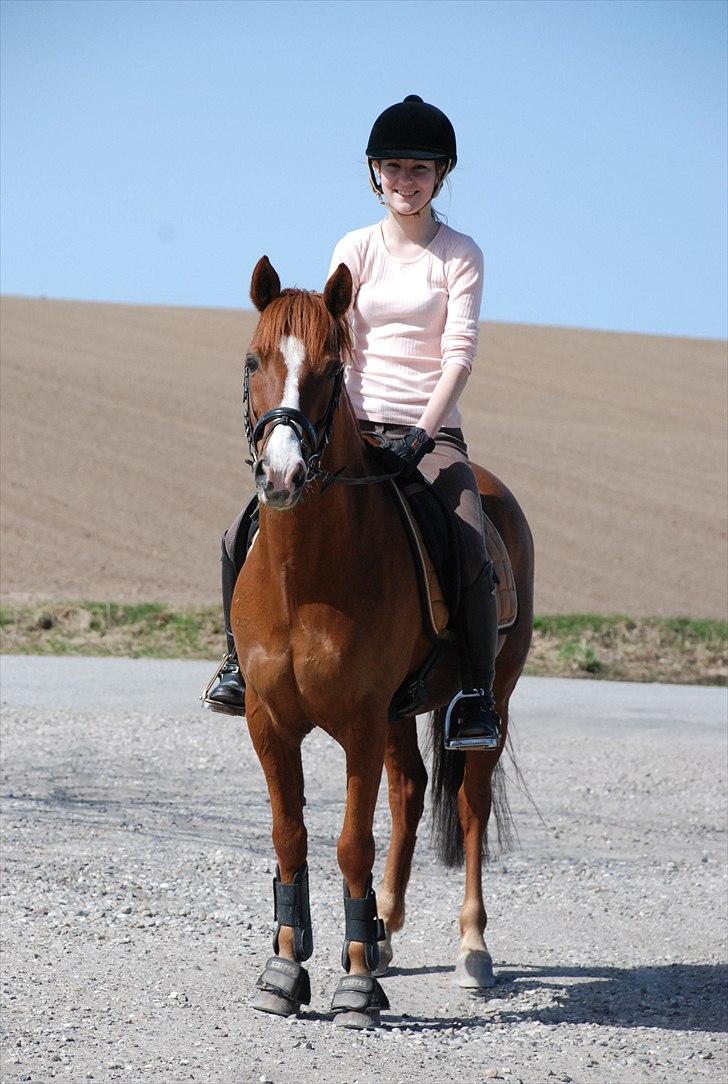 Anden særlig race Ferrari - 2, iloveyou!  foto ~ Mie Raun. billede 2