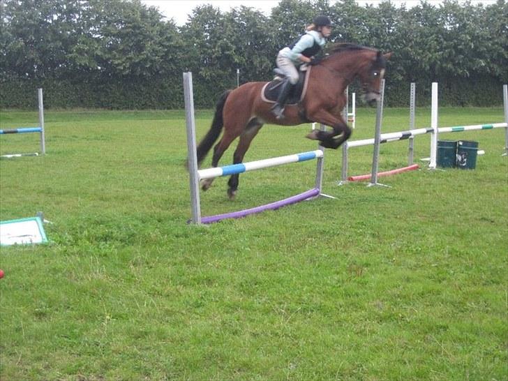 Anden særlig race Torja (Halvpart) - #9 Spring! :D<3 billede 9