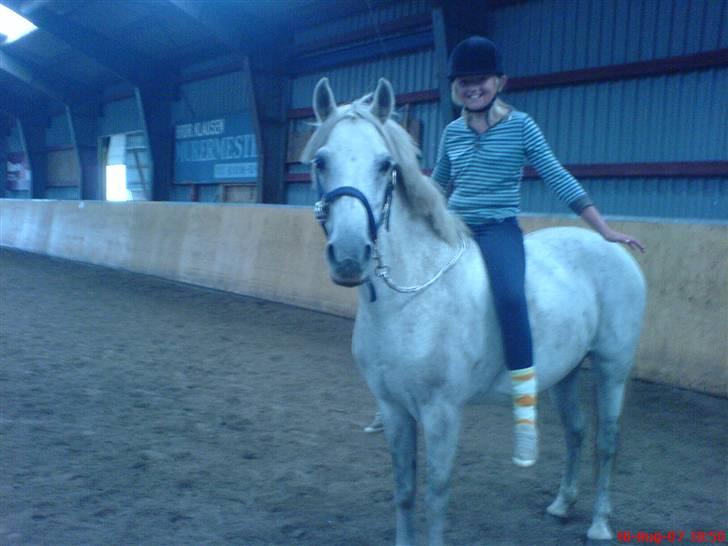 Anden særlig race Zizika Solgt & Savnet!!!! - Udensaddel :,) " savner dig miin pige ! billede 13