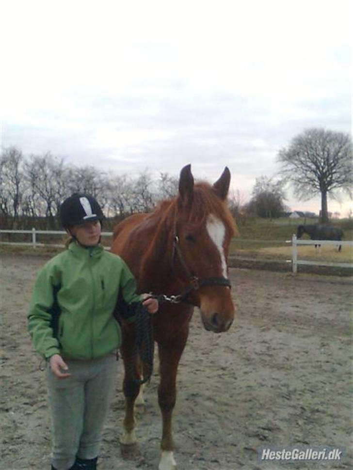 Pinto Svalegårdens Hemmingway - Velkommen til Svalegårdens Hemmingway´s profil., :P - det er Hemse og mig, som er på billedet. [Foto: Annette] billede 1