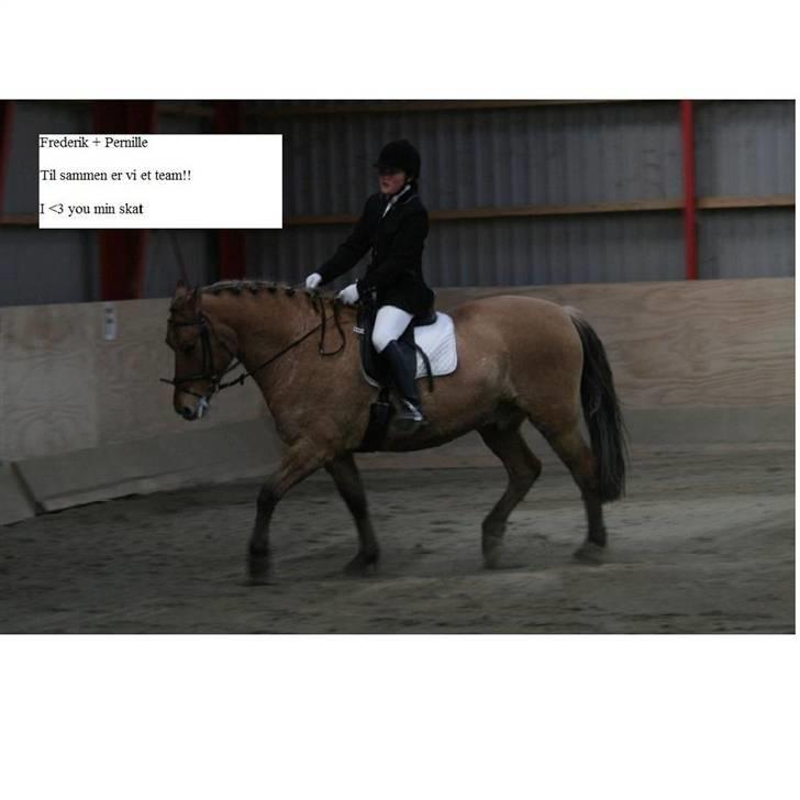 Anden særlig race Frederik *SOLGT* - Har leget med et billede billede 11