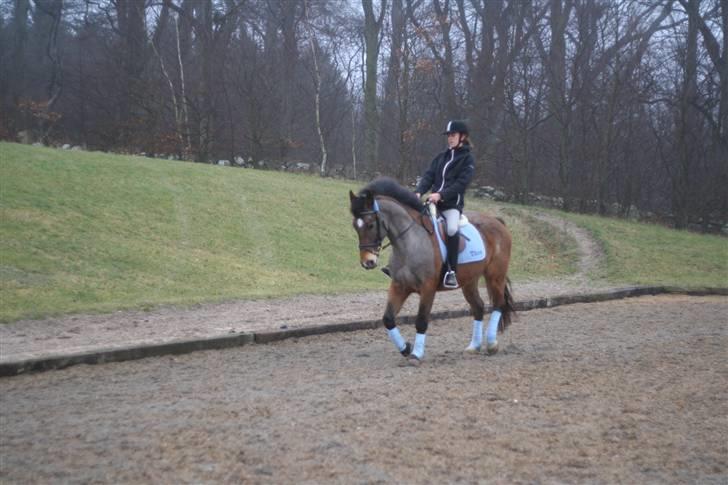 Anden særlig race Thor - Fotograf: Annika billede 13