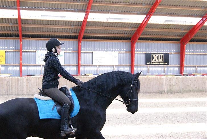 Frieser Picasso (puk foure) billede 3