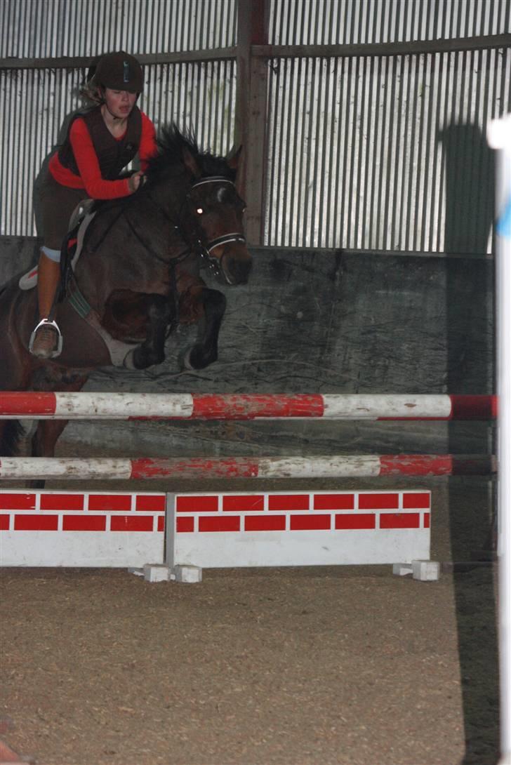 Anden særlig race Kissba - Spring undervisning, vinter 2008/2009 billede 5