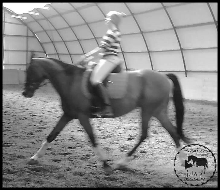 Anden særlig race Mulan - Mulan som 4års. Her med Jette som rytter :-) billede 6