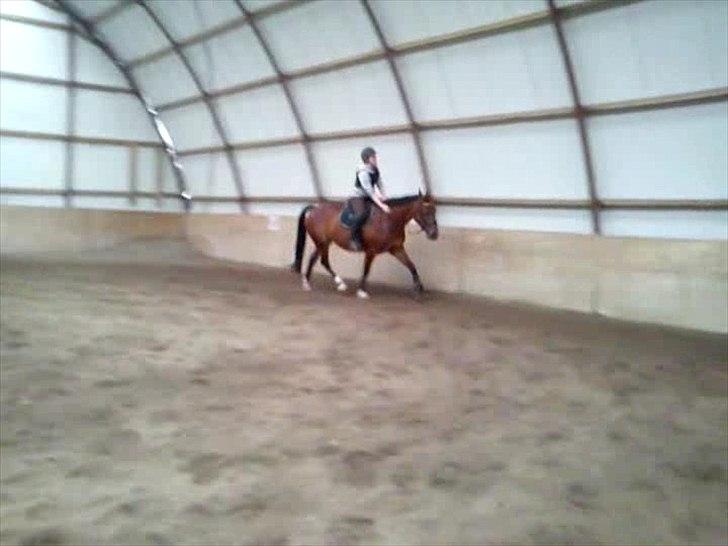 Anden særlig race Mulan billede 7