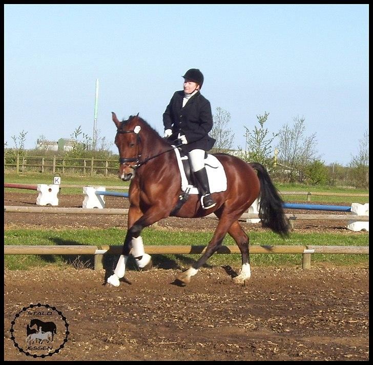 Anden særlig race Mulan - Mulan & Kari til stævne :-) billede 8