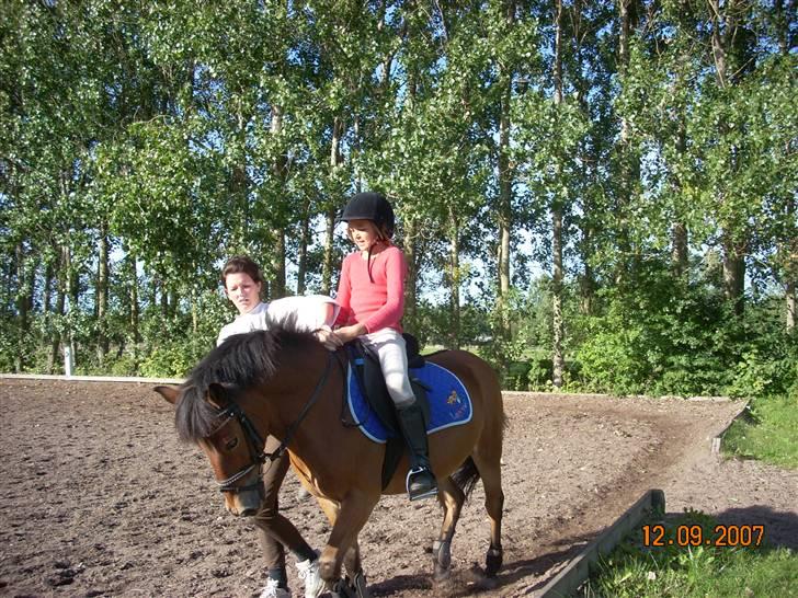 Anden særlig race Buster Larsen *SOLGT* - Buster og mig får hjælp :D Hans store hals :)  billede 16