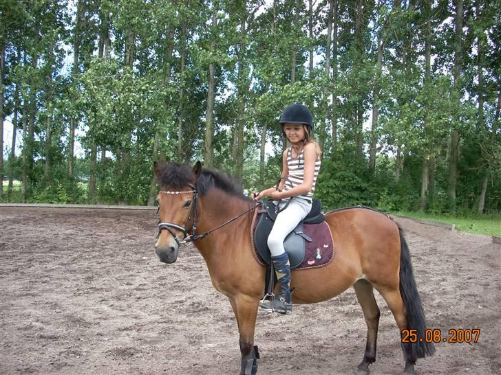 Anden særlig race Buster Larsen *SOLGT* - Buster og mig efter hård træning en varm sommer dag .  billede 17