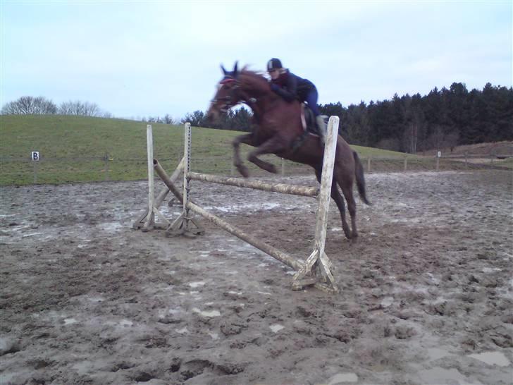 Traver Destany - 110cm. billede 19