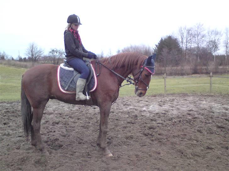 Traver Destany billede 20