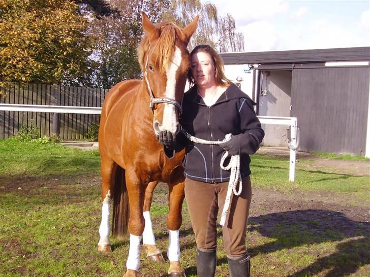 Anden særlig race paplo vixi billede 4