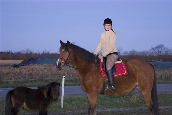 Oldenborg Mahjong †aflivet† R.I.P - En lille hygge skridt tur på folden. Og han nød det! Max syntes lige han skulle være med på billedet. :o) billede 19