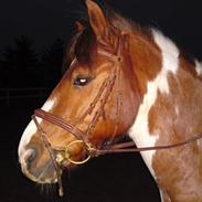 Anden særlig race Sprinter