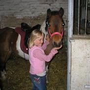 Anden særlig race Trille ¤Solgt¤