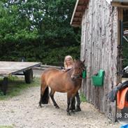 Anden særlig race bonni