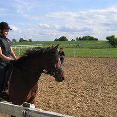 Anden særlig race Miss Moneypenny