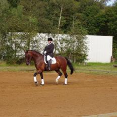 Oldenborg Albert