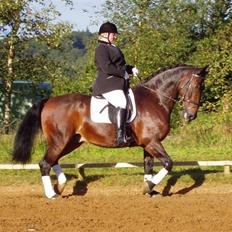 Oldenborg Gerner Kornum
