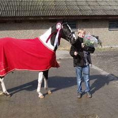 Pinto Celia Højgård