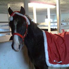 DSP Remember me af sandager