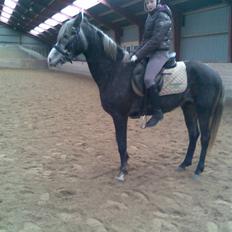 DSP Remember me af sandager