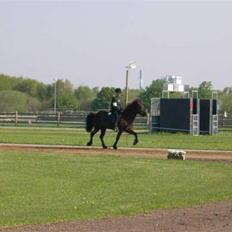 Islænder Omi fra hallisgård