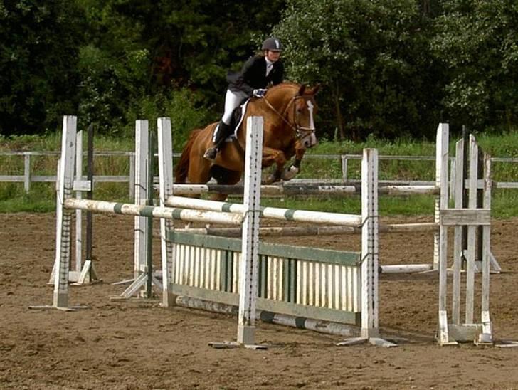 Hannoveraner Ib (Wandolf) - Ib ved klubmesterskaberne på MMR, vi red til stævnepladsen 15km gennem Gribskov, august 2005 billede 2