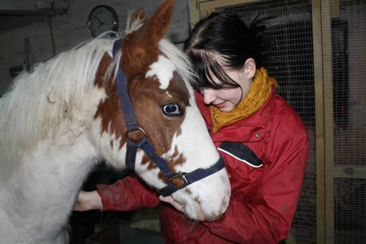 Anden særlig race chamieka - foto: kæresten billede 19