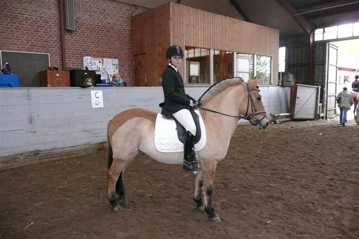 Anden særlig race flopper - efter vi har været inde og ride :D billede 10