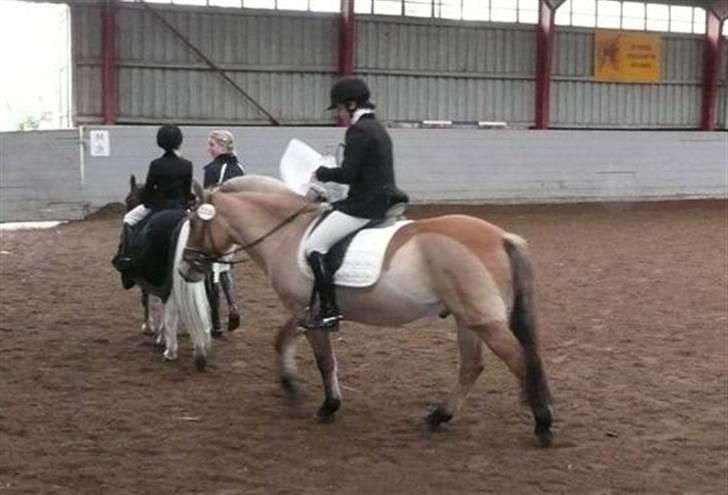 Anden særlig race flopper - læser min kritik og nolle vil bare gerne udenfor og gå :D hehe billede 11