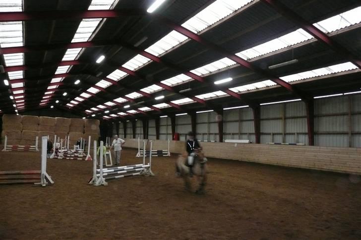 Anden særlig race flopper - spring stævne billede 12