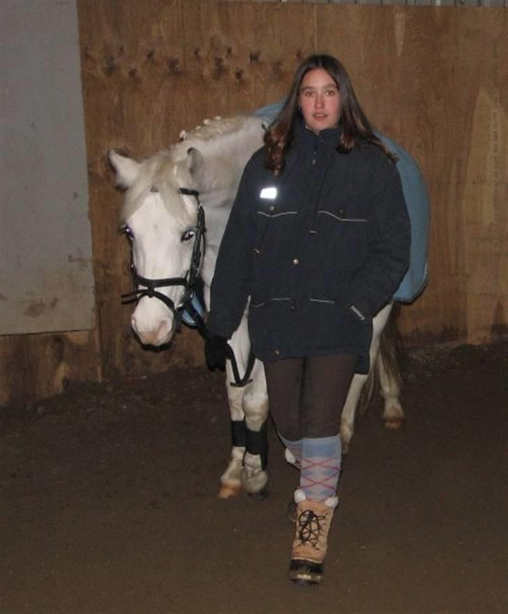 Anden særlig race Cindy billede 15