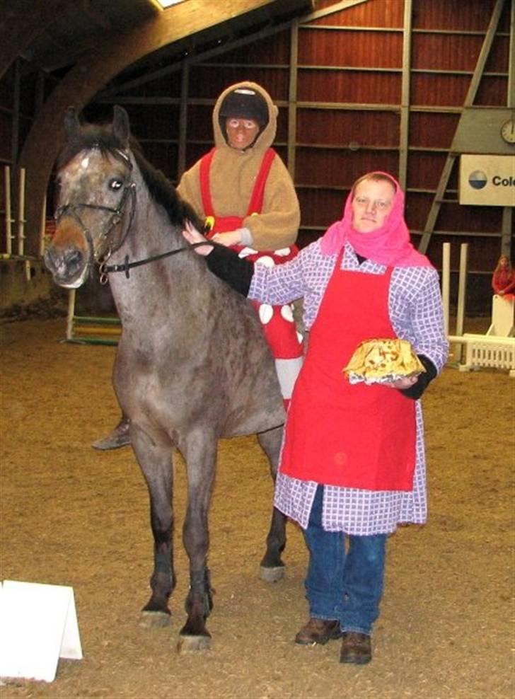 Anden særlig race Gipsy billede 6