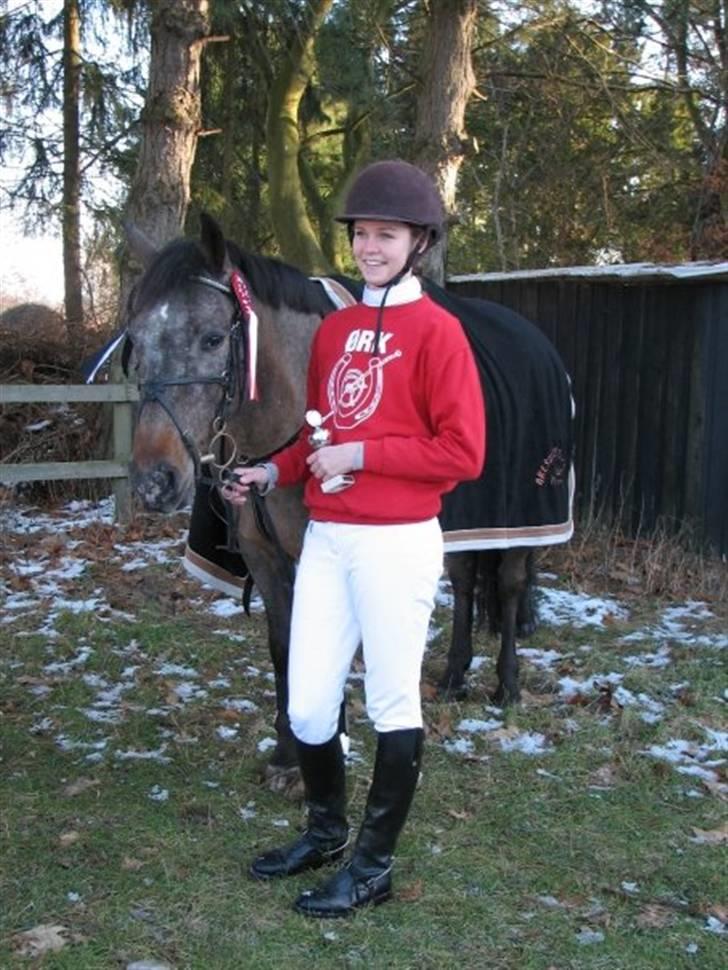 Anden særlig race Gipsy billede 8