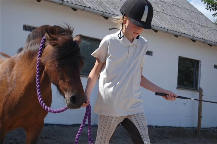 Anden særlig race | MISCHA - horsemanship med Mia Lykke billede 7