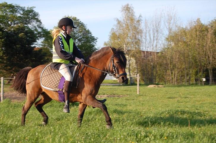 Anden særlig race | MISCHA - selvom min lille pony er tyk kan den stadig flytte sine fusser! <33 :´) KM-Foto billede 8