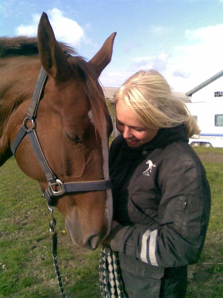 Dansk Varmblod Egely's Lucky Lady - "Kærlighed" billede 18
