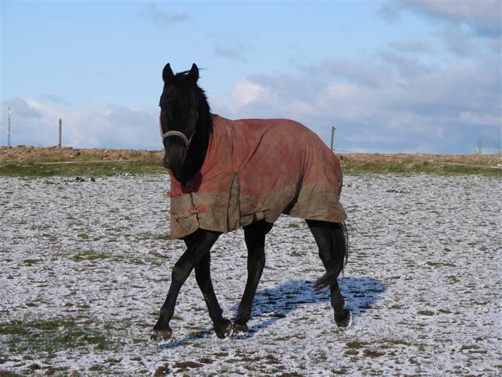 Oldenborg Okholms Makker  - Så er der blevet vintertid! billede 20