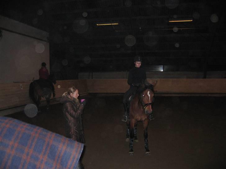 Anden særlig race Miss Moneypenny - Mig, Money og min underviser Lousie Estrup efter træning den 29. januar 2009. billede 6