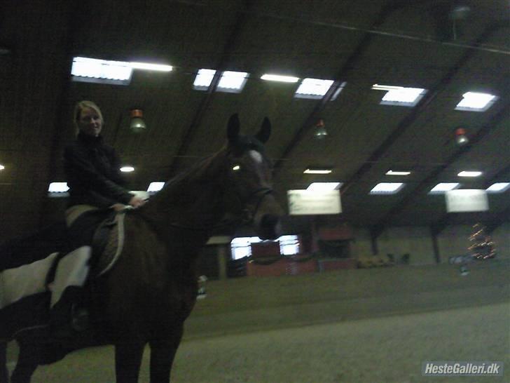 Dansk Varmblod gørklintgårds lake placid - lake i ridehuset. billede 11