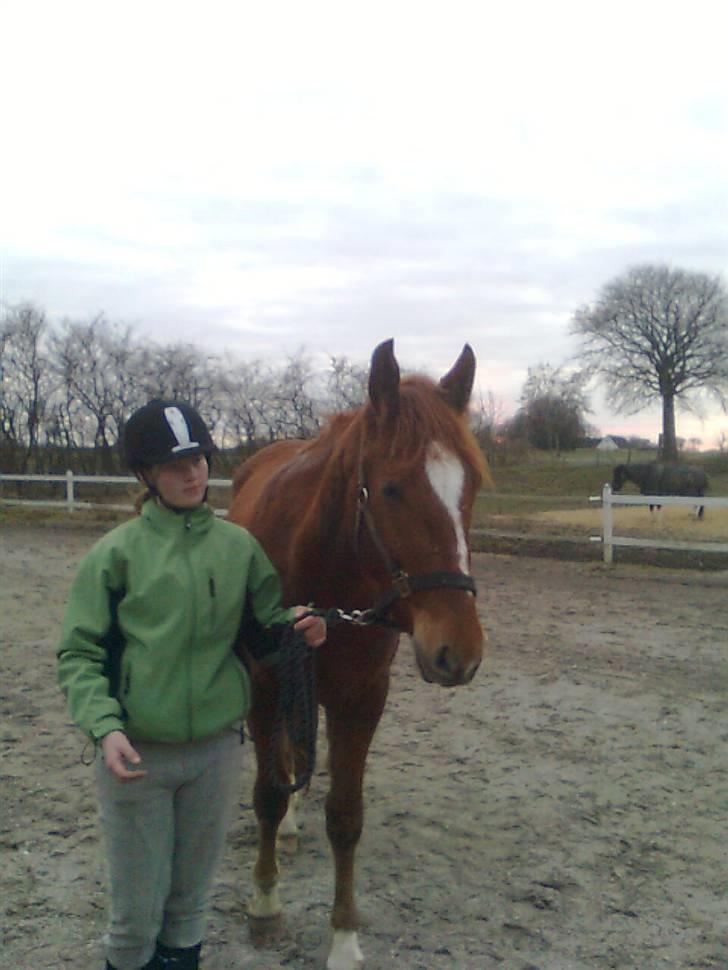 Pinto Svalegårdens Hemmingway - Mig og Hemmingway, elsker det billed., xD [Foto: Annette] billede 7