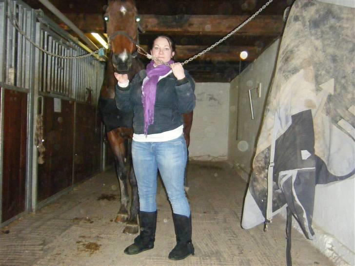 Anden særlig race Sheza - Leveret tilbage   billede 12