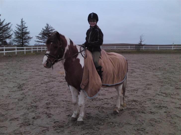 Anden særlig race Sprinter - love you...............................................................<3´ billede 7