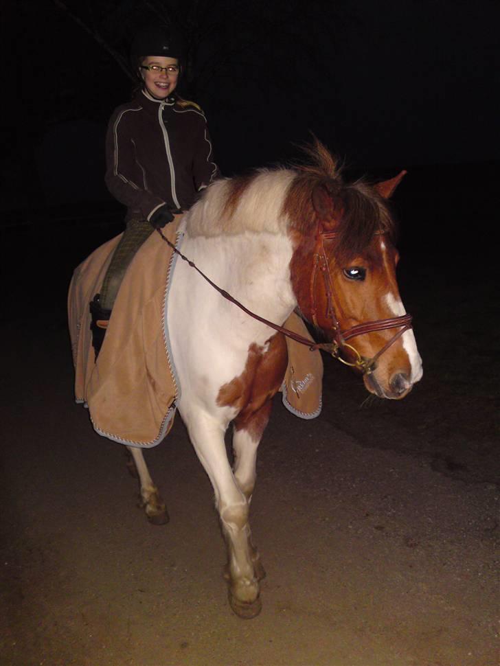 Anden særlig race Sprinter - <3333333..........! billede 11
